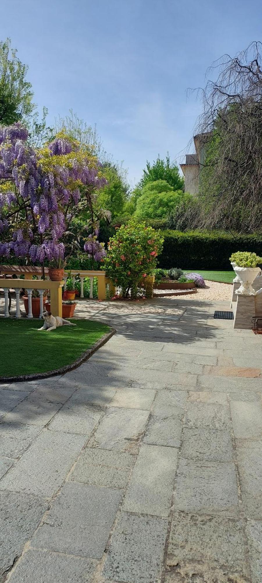 Villa Lina Cremona Exteriér fotografie